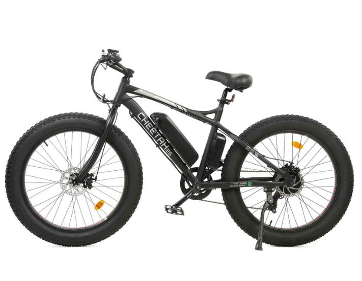 Ecotric website new arrivals
