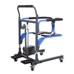 EZ Lift Assist Patient Lift Transfer