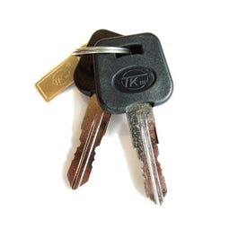 Zinger Spare Keys (pair) - Main Image