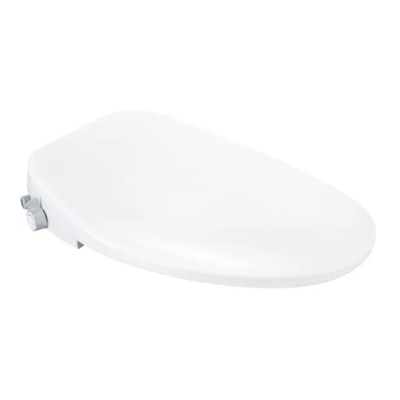 Bidet Toilet