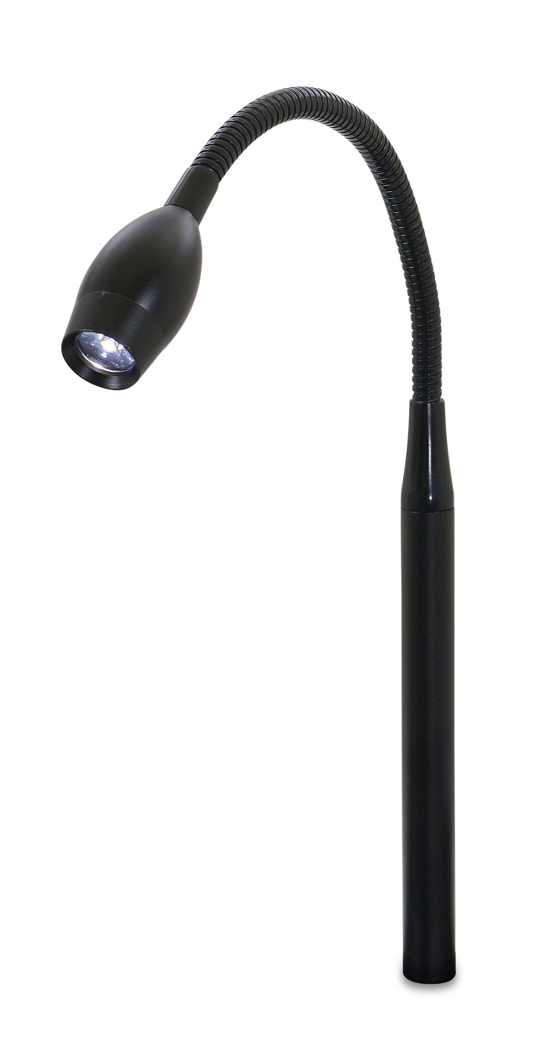 Reading Flex Light